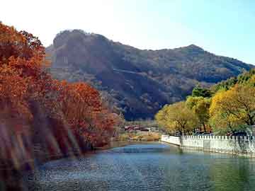 新澳天天开奖资料大全旅游团，二手对讲机